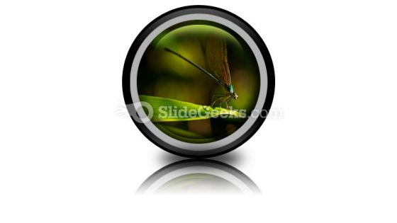 Insect PowerPoint Icon Cc Insect PowerPoint Icon Cc