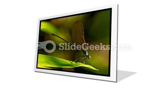 Insect PowerPoint Icon F Insect PowerPoint Icon F