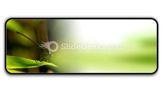 Insect PowerPoint Icon R Insect PowerPoint Icon R