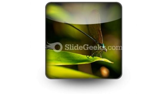 Insect PowerPoint Icon S