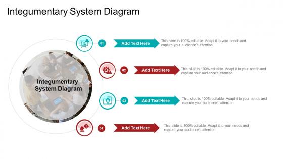 Integumentary System Diagram In Powerpoint And Google Slides Cpb Integumentary System Diagram In Powerpoint And Google Slides Cpb