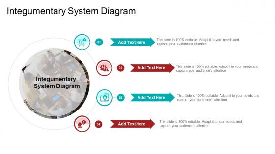 Integumentary System Diagram In Powerpoint And Google Slides Cpb