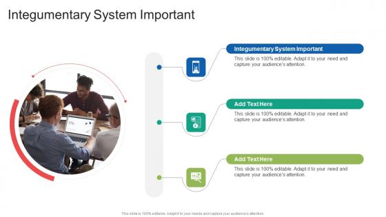 Integumentary System Important In Powerpoint And Google Slides Cpb