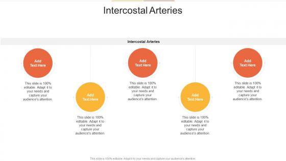 Intercostal Arteries In Powerpoint And Google Slides Cpb