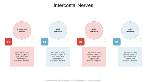 Intercostal Nerves In Powerpoint And Google Slides Cpb