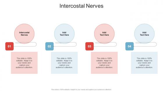 Intercostal Nerves In Powerpoint And Google Slides Cpb Intercostal Nerves In Powerpoint And Google Slides Cpb