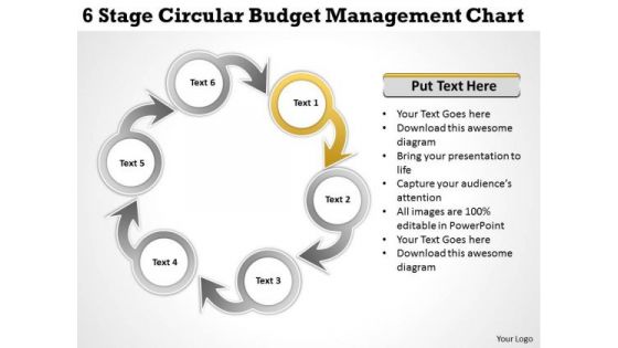 International Marketing Concepts Stage Circular Budget Management Chart It Business Strategy