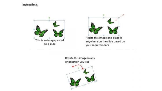 Internet Business Strategy 3d Three Green Butterflies Photos