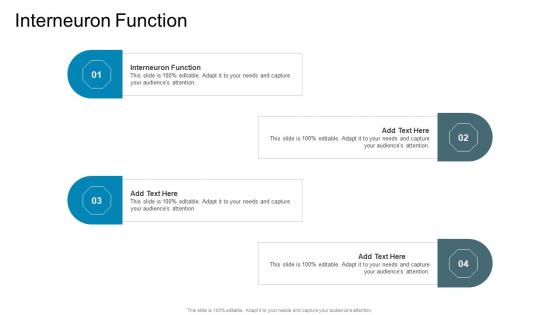 Interneuron Function In Powerpoint And Google Slides Cpb