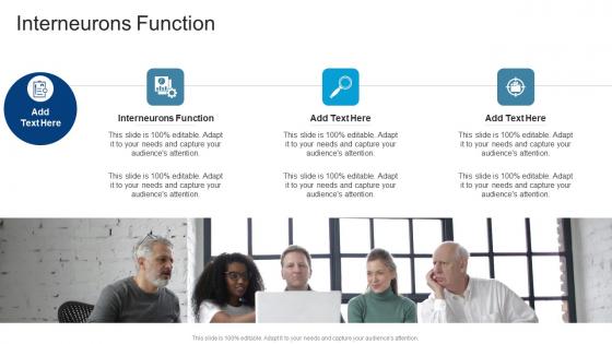Interneurons Function In Powerpoint And Google Slides Cpb