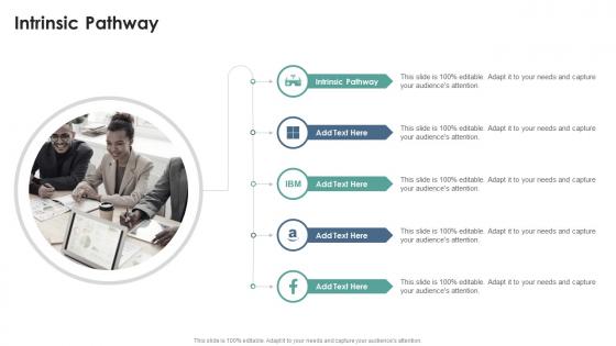 Intrinsic Pathway In Powerpoint And Google Slides Cpb