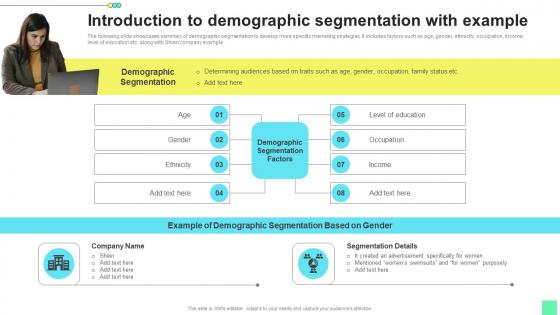 Introduction Demographic Introduction To Niche Marketing Audience Segmentation Background Pdf