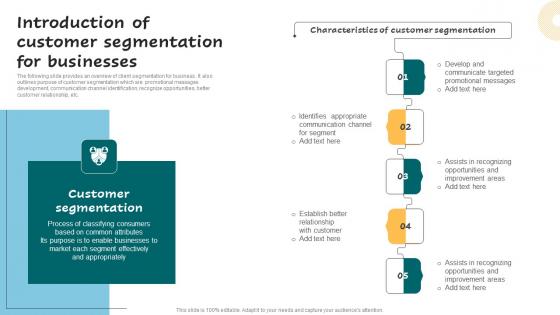 Introduction Of Customer Segmentation Successful Guide For Market Segmentation Diagrams Pdf