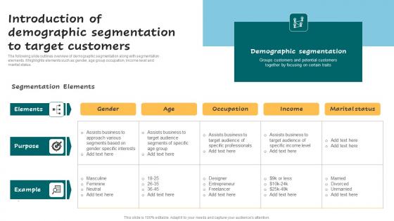 Introduction Of Demographic Segmentation Successful Guide For Market Segmentation Template Pdf