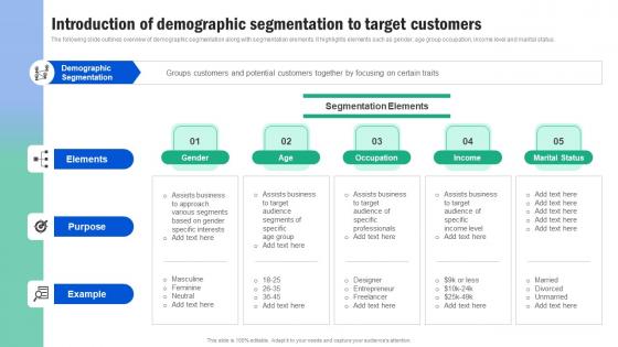 Introduction Of Demographic Segmentation To Target Guide For Segmenting And Formulating Professional Pdf