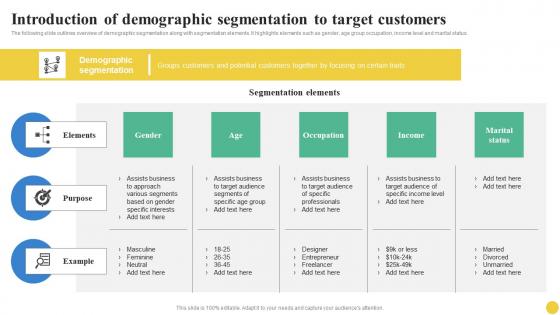 Introduction Of Demographic Segmentation To Target User Segmentation Infographics Pdf