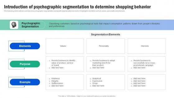 Introduction Of Psychographic Segmentation Guide For Segmenting And Formulating Download Pdf