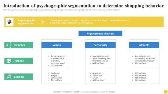 Introduction Of Psychographic Segmentation To Determine User Segmentation Topics Pdf