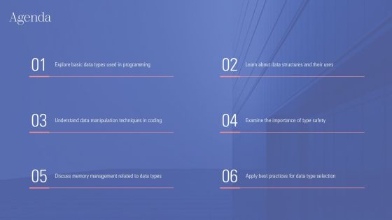 Introduction To Data Types In Programming PPT Guidelines AT Slide02