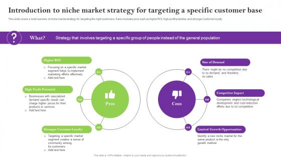 Introduction To Niche Market Strategy For Targeting Sales Techniques For Achieving Graphics Pdf