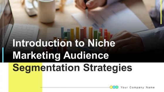 Introduction To Niche Marketing Audience Segmentation Strategies Ppt Powerpoint Presentation Complete Deck