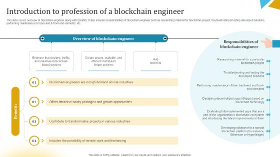 Introduction To Profession Of A Blockchain Engineer Ppt Example BCT SS V