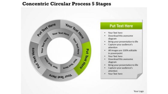 It Business Strategy Concentric Circular Process 5 Stages Formulation