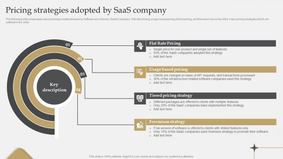 IT Industry Market Research Pricing Strategies Adopted By SaaS Company Information Pdf