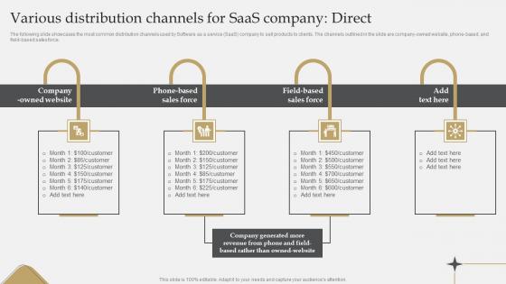 IT Industry Market Research Various Distribution Channels For SaaS Company Direct Diagrams Pdf