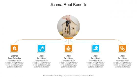 Jicama Root Benefits In Powerpoint And Google Slides Cpb