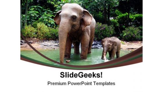 Jungle Elephant Animals PowerPoint Templates And PowerPoint Backgrounds 0211