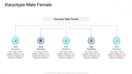 Karyotype Male Female In Powerpoint And Google Slides Cpb