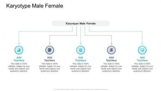 Karyotype Male Female In Powerpoint And Google Slides Cpb Karyotype Male Female In Powerpoint And Google Slides Cpb