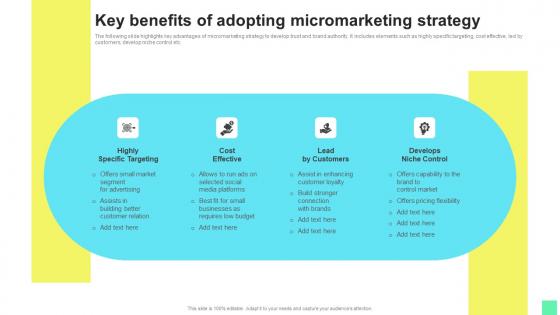 Key Benefits Of Adopting Introduction To Niche Marketing Audience Segmentation Introduction Pdf