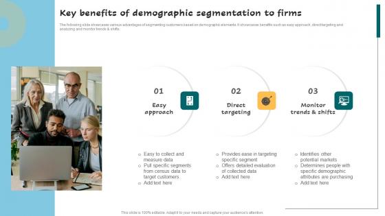Key Benefits Of Demographic Segmentation Successful Guide For Market Segmentation Structure Pdf