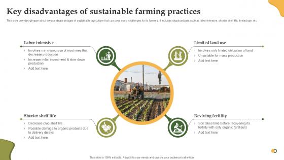 Key Disadvantages Of Sustainable Enhancing Productivity With Adoption PPT Presentation