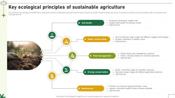 Key Ecological Principles Of Sustainable Agriculture Adopting Sustainable Farming Techniques Key Ecological Principles Of Sustainable Agriculture Adopting Sustainable Farming Techniques