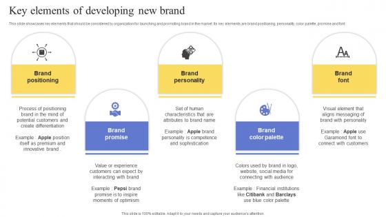 Key Elements Of Developing New Brand Maximizing Revenue Using Formats Pdf