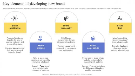 Key Elements Of Developing New Brand Maximizing Revenue Using Formats Pdf Key Elements Of Developing New Brand Maximizing Revenue Using Formats Pdf