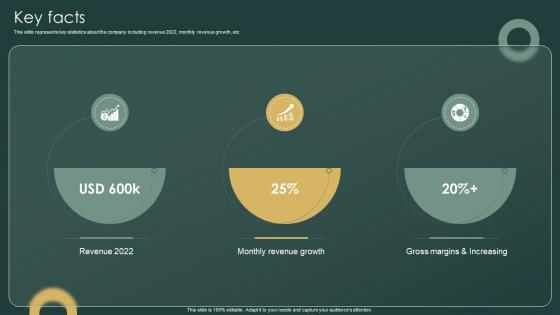 Key Facts Investor Funding Elevator Pitch Deck For Ticketing Management Firm