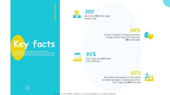 Key Facts Plant Based Eggs Developing Company Investor PPT Template