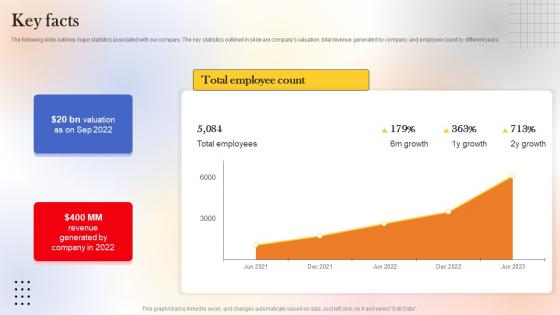 Key Facts Web Designing Platform Fundraising Pitch Deck Ideas Pdf