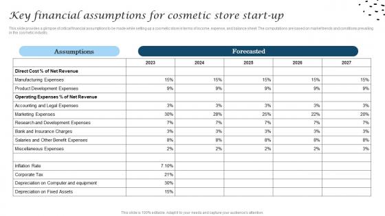 Key Financial Assumptions For Cosmetic Store Start Up Cosmetic Industry Business Mockup Pdf