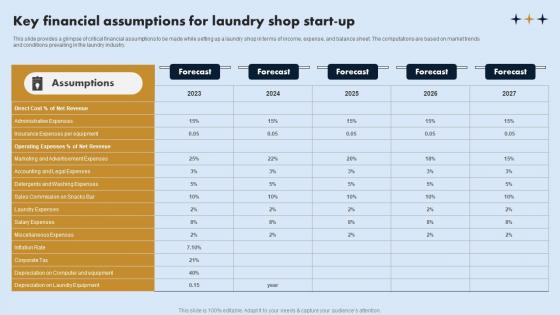 Key Financial Assumptions For Laundry Shop Start Up On Demand Laundry Business Plan Portrait Pdf