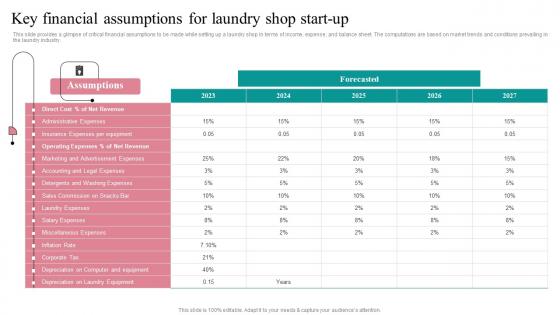 Key Financial Assumptions Fresh Laundry Service Business Plan Go To Market Strategy Infographics Pdf