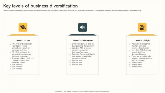 Key Levels Of Business Diversification Market Expansion Through Download Pdf