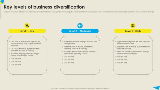 Key Levels Of Business Diversification Strategic Diversification Plan Mockup PDF