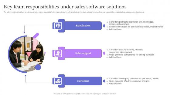 Key Team Responsibilities Under Sales Software Solutions Elements Pdf