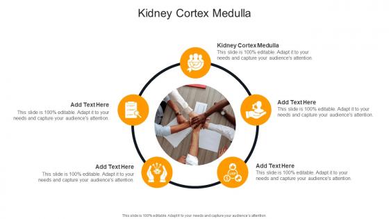 Kidney Cortex Medulla In Powerpoint And Google Slides Cpb