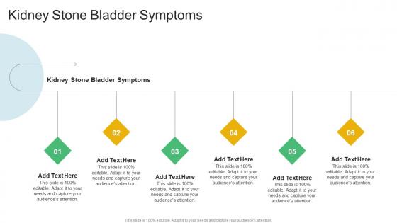 Kidney Stone Bladder Symptoms In Powerpoint And Google Slides Cpb